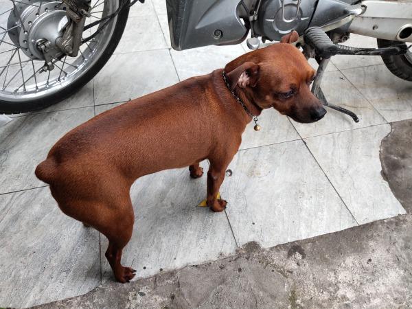 IMG_20220327_111545_570 (1).jpg