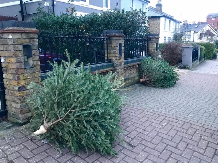 ツリー - 1 (1).jpg