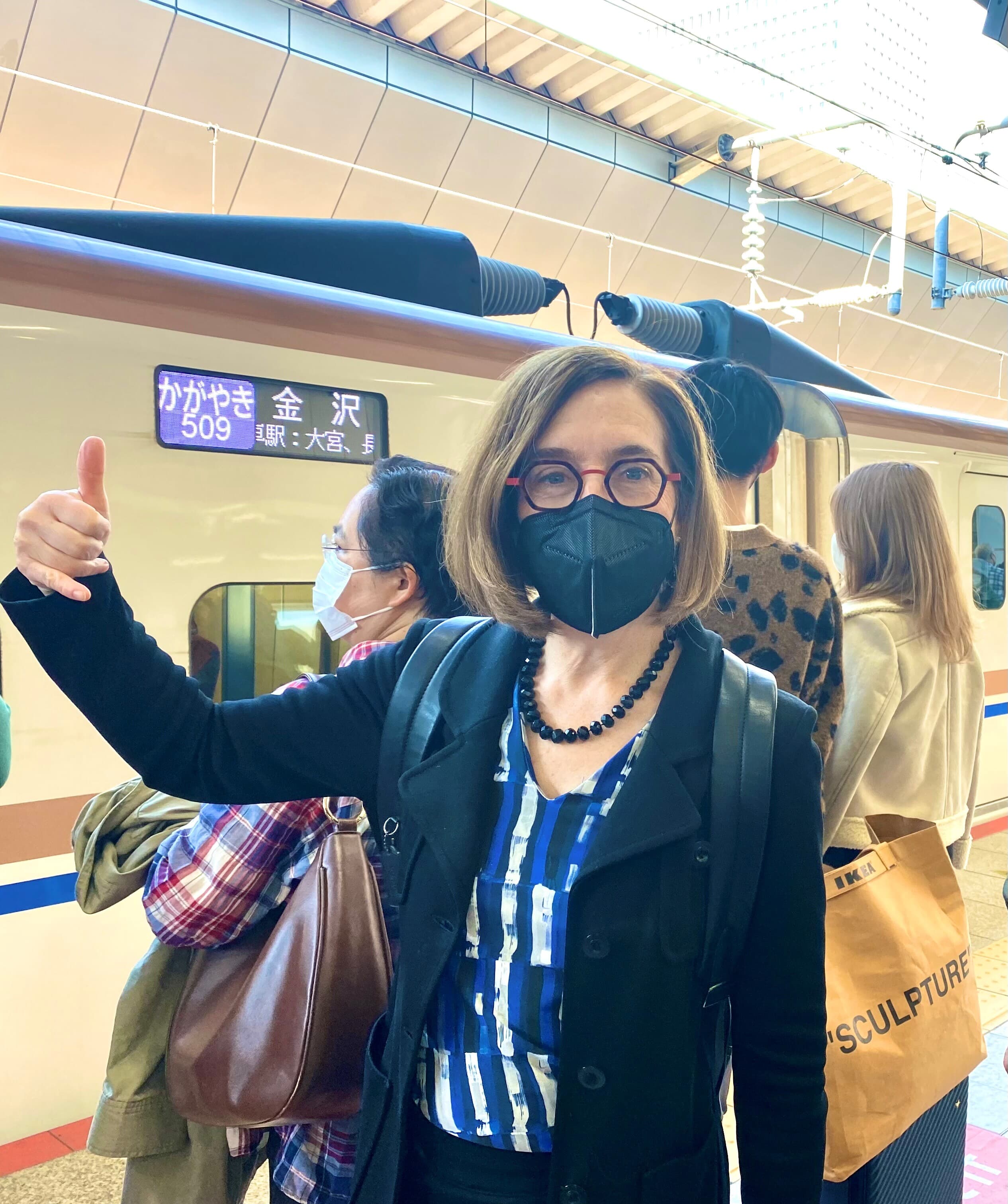 Train Toyama Brown.jpg