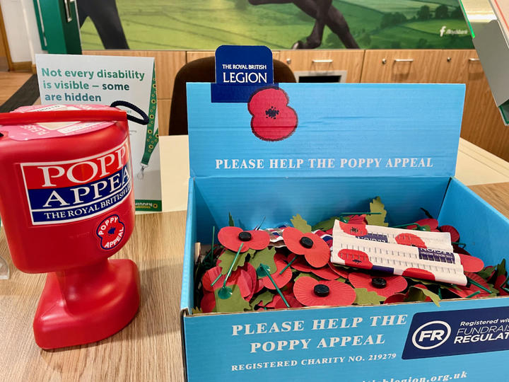 ポピー売り場 - 1.jpeg