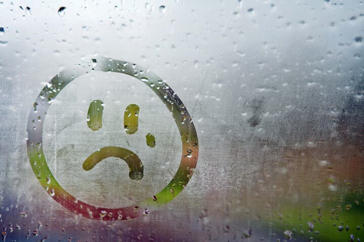 2_shutterstock_Claire Fraser Photography.jpg