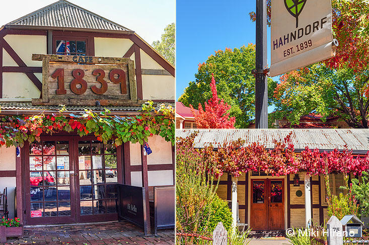 Hahndorf3.jpg