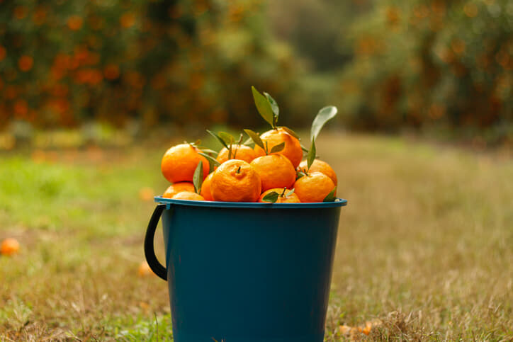 Surapong Tanachotrungruang-iStock(1).jpg