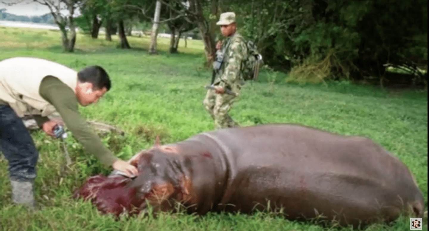 スクリーンショット 2021-10-22 午前7.34.42.png