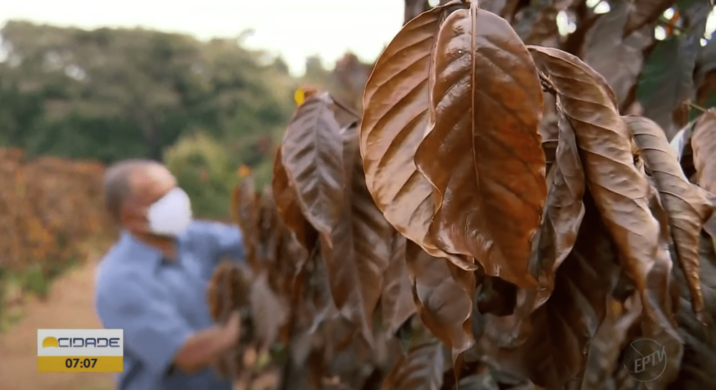 スクリーンショット 2022-12-13 午後4.42.00.png