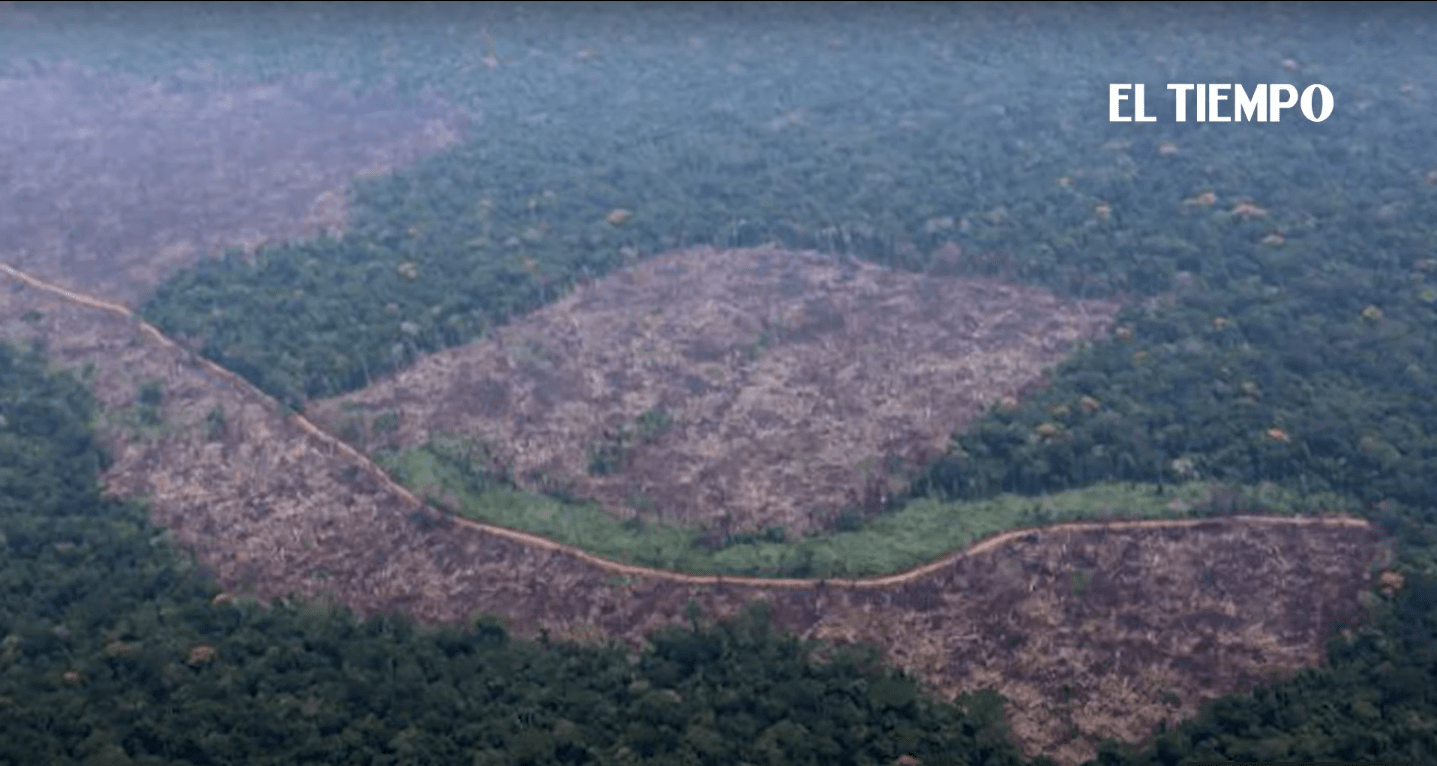 スクリーンショット 2021-11-10 午後5.37.31.png