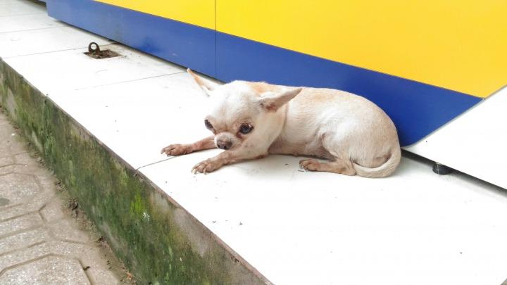 P_20170906_102135 (1).jpg