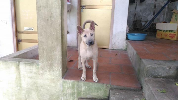 P_20180429_135928 (1).jpg