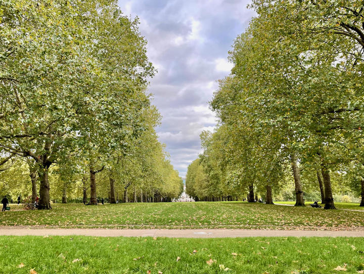 在外投票 - 3.jpeg