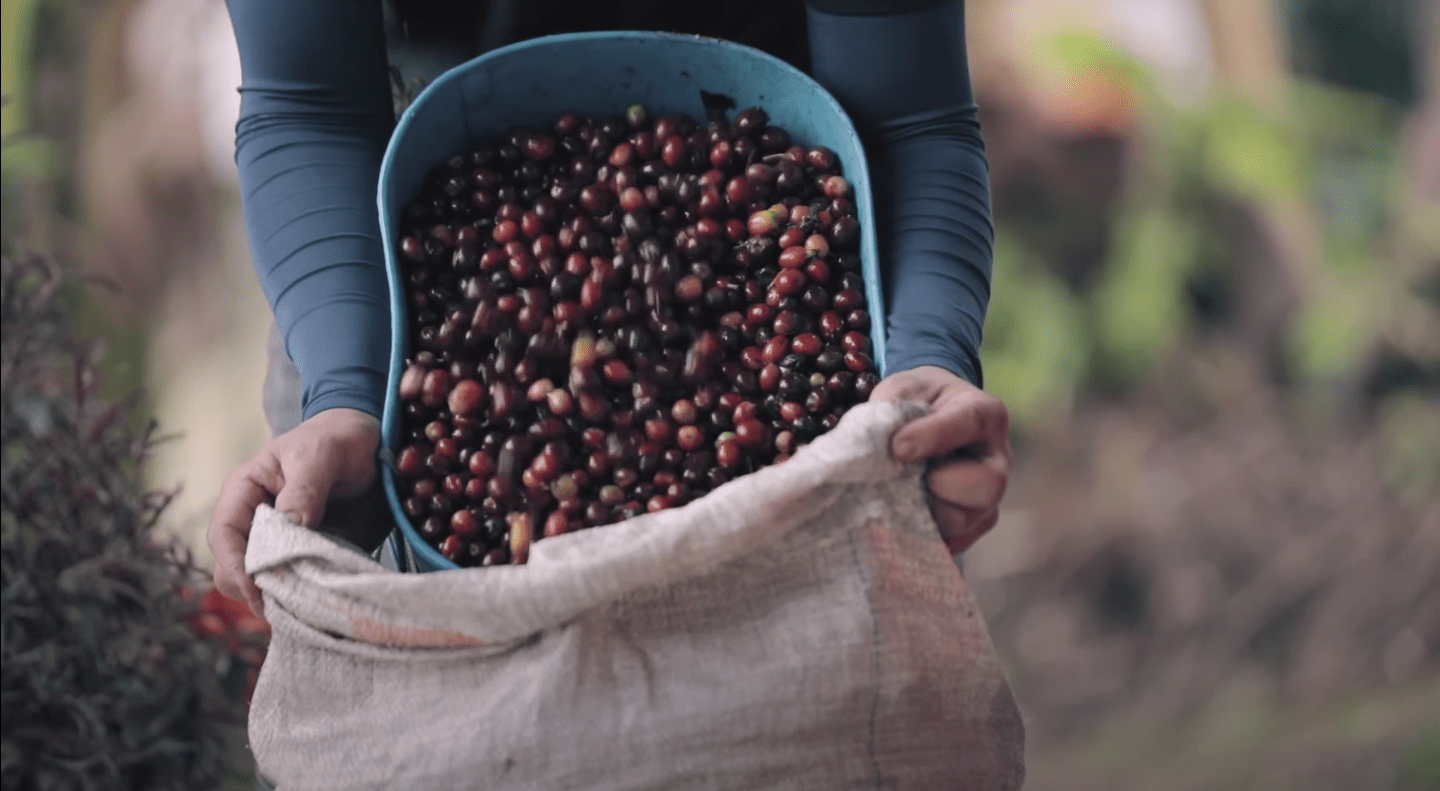 スクリーンショット 2022-12-13 午後1.49.38.png