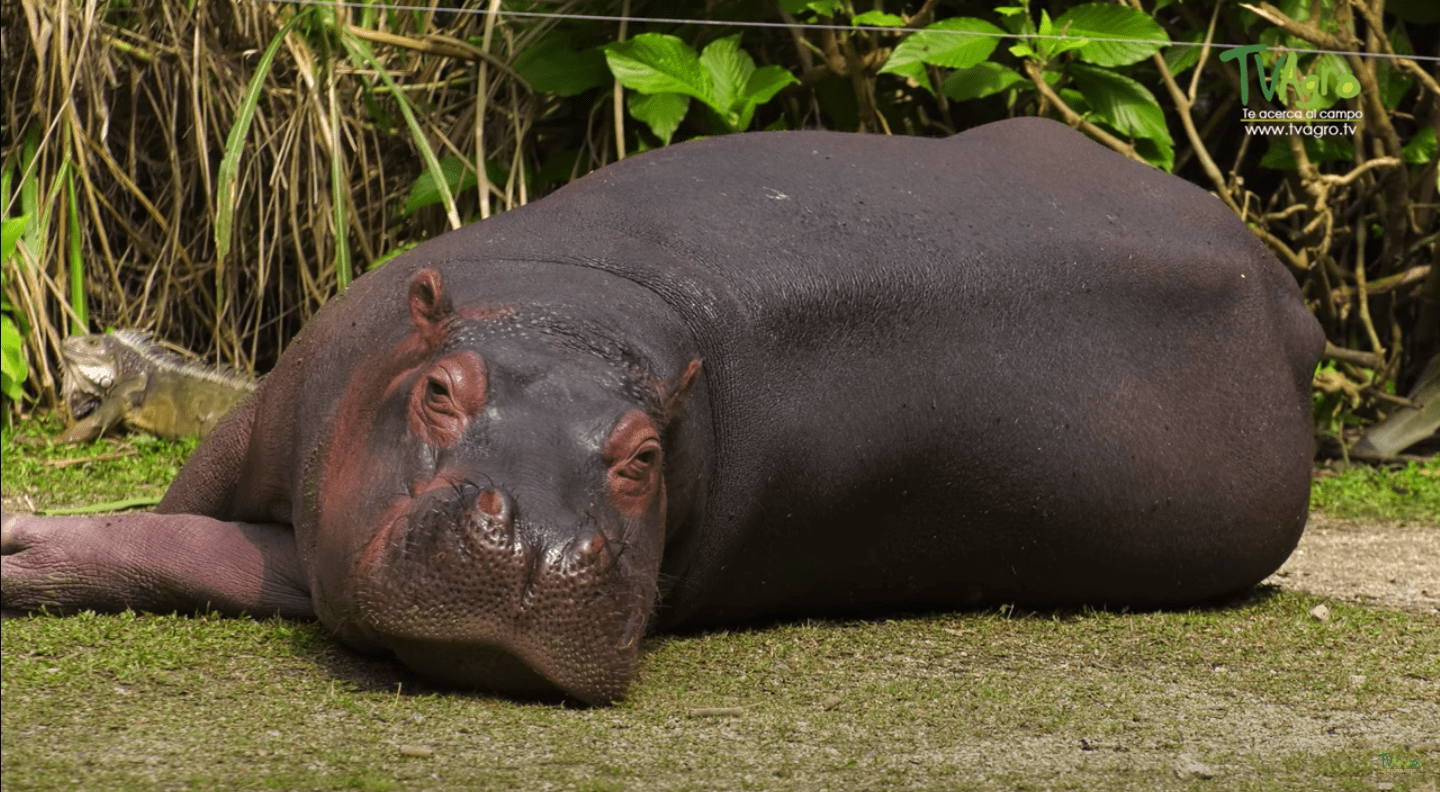 スクリーンショット 2023-04-18 午前1.30.50.png