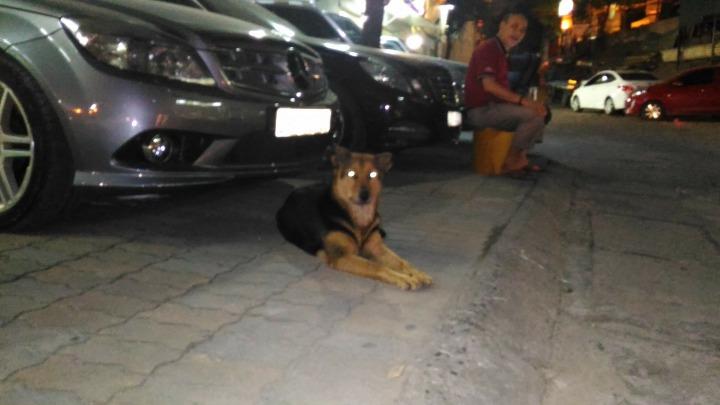 P_20170930_201943 (1).jpg