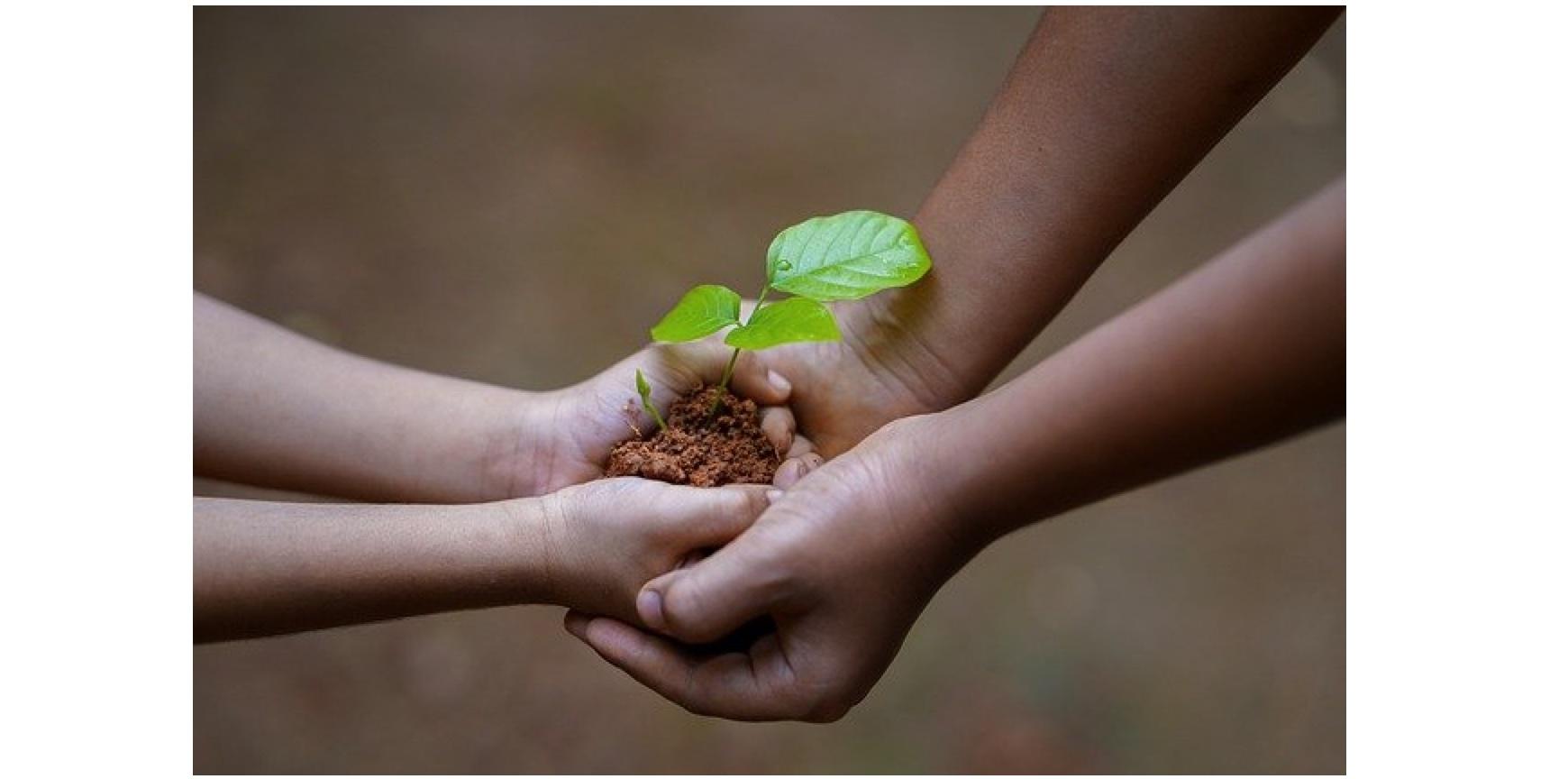 Screen Shot 2021-10-27 at 2.25.19 PM.jpg