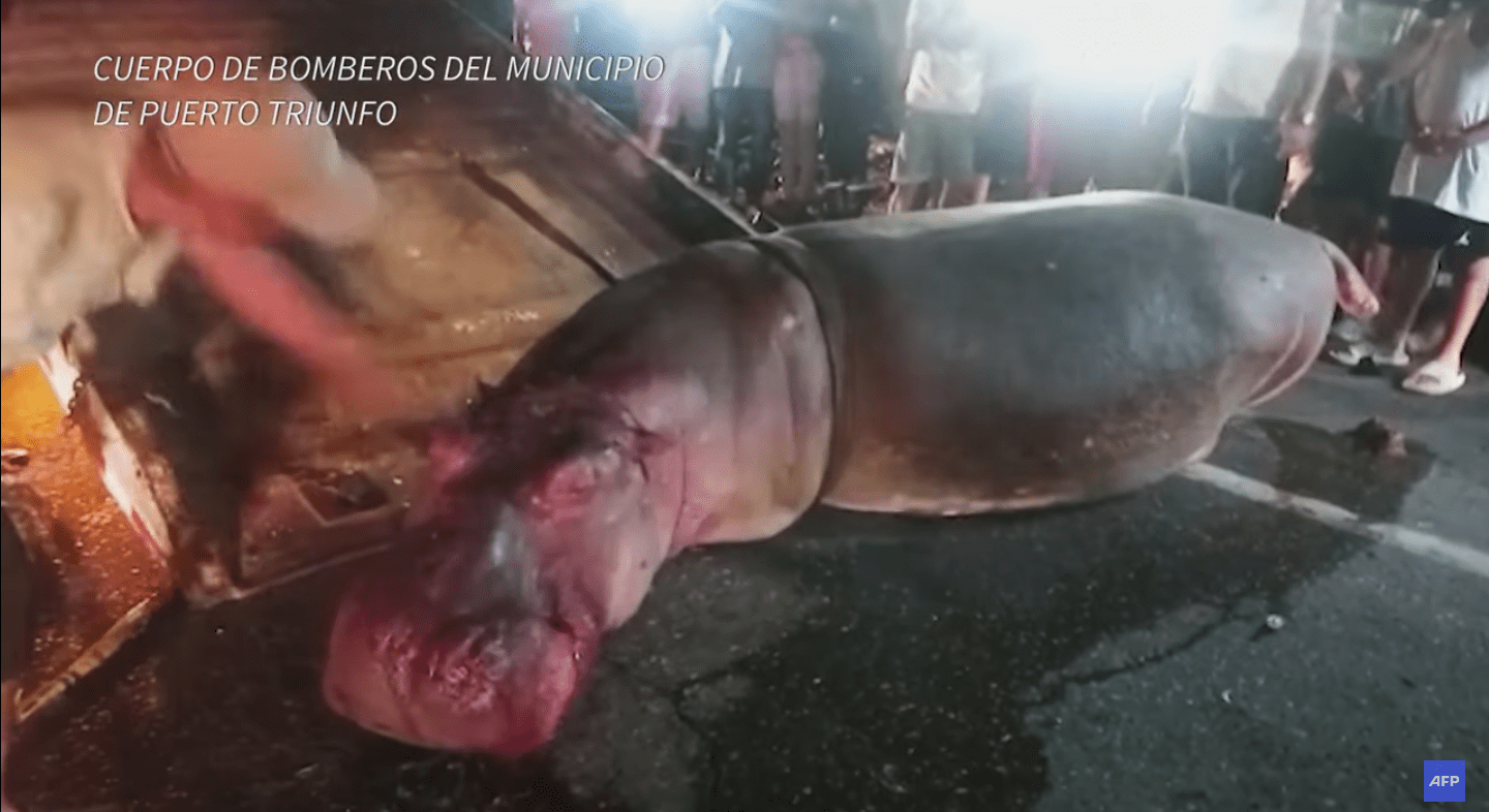 スクリーンショット 2023-04-18 午前1.13.09.png