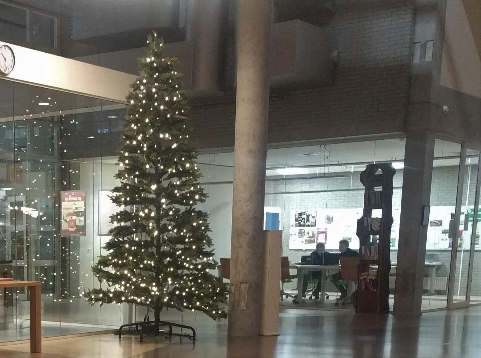 202012 christmas tree.jpg