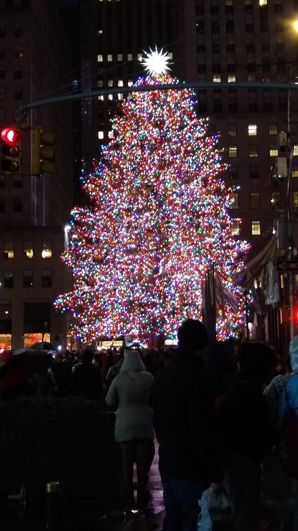 tree2019.jpg
