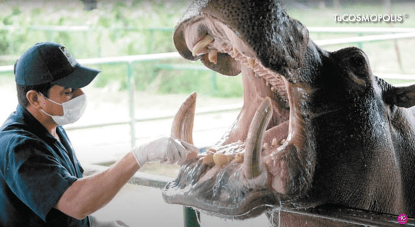 スクリーンショット 2021-10-22 午前7.13.19.png