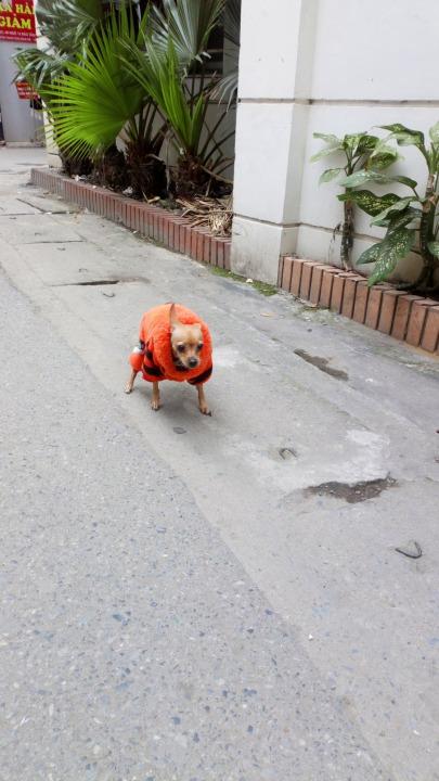 20210331_085507 (1).jpg