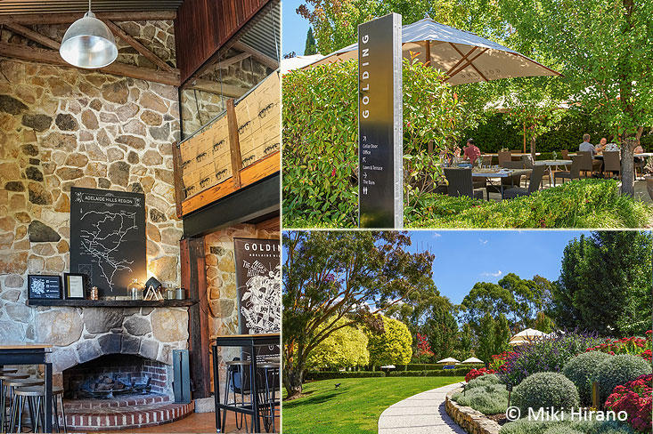 GoldingWines4.jpg