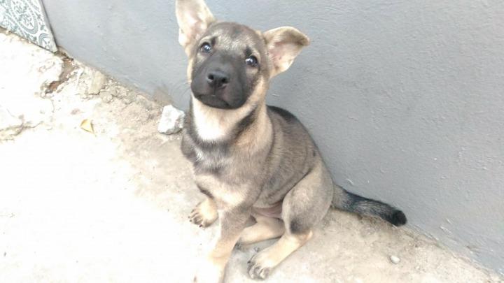 26197995_317045695455493_3051573229667369639_o (1).jpg