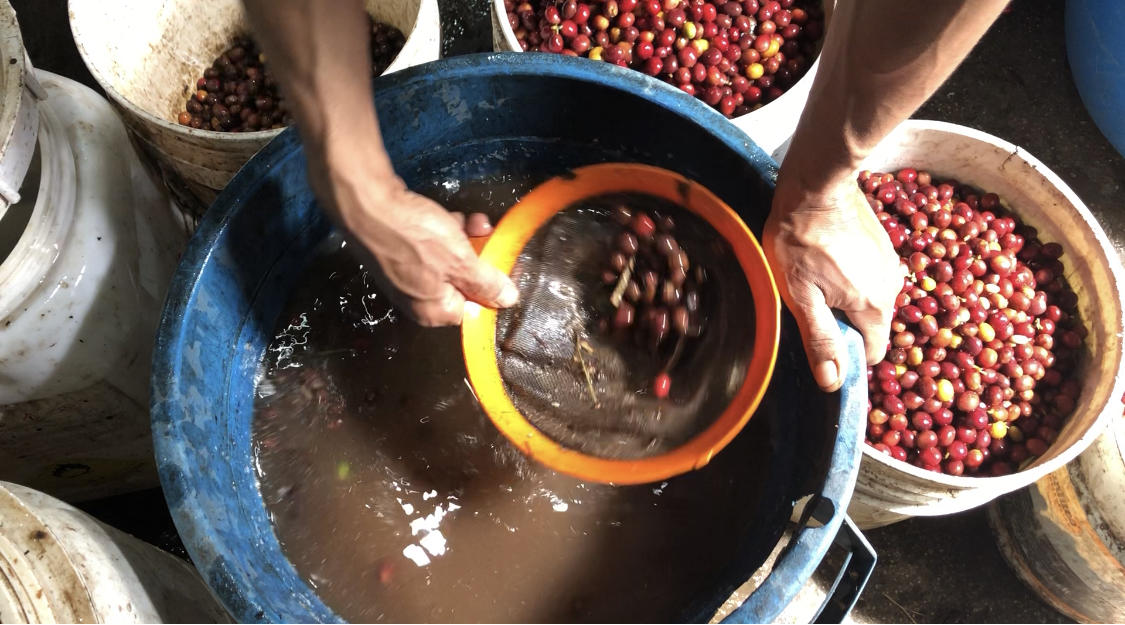 IMG_7242 2.jpgのサムネイル画像