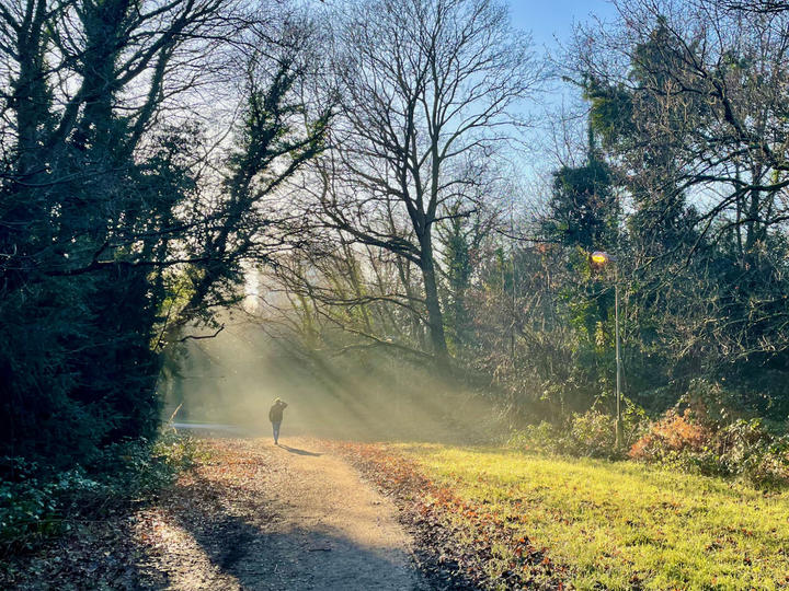 コロナ後散歩 - 1.jpeg