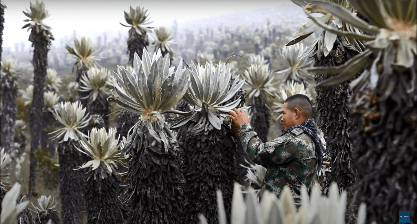 スクリーンショット 2024-02-02 午後11.36.45.png