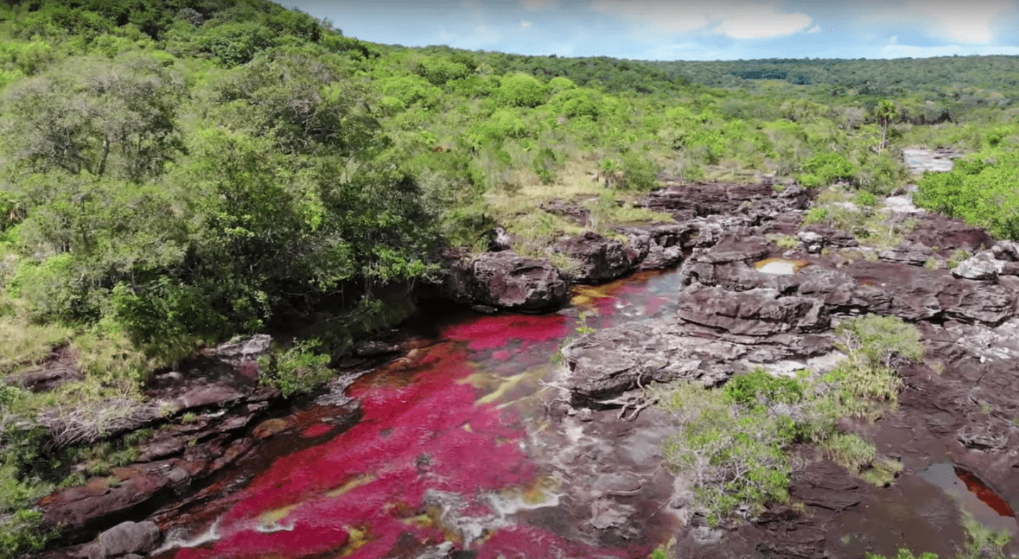 スクリーンショット 2021-11-27 午前3.14.02.png