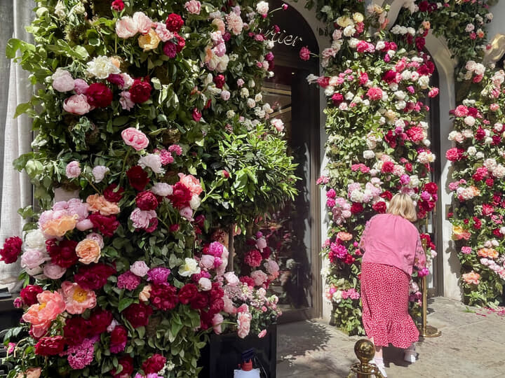 チェルシー - 3.jpeg