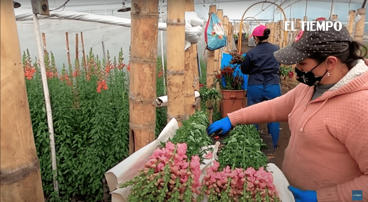 スクリーンショット 2022-05-08 午後4.51.36.png