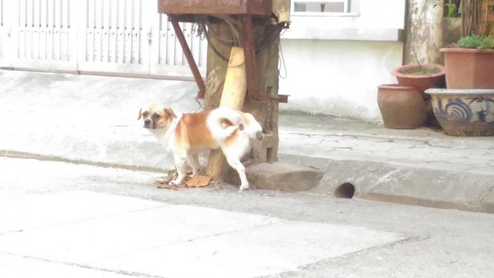 26172026_317045622122167_5306702601964827396_o (1).jpg