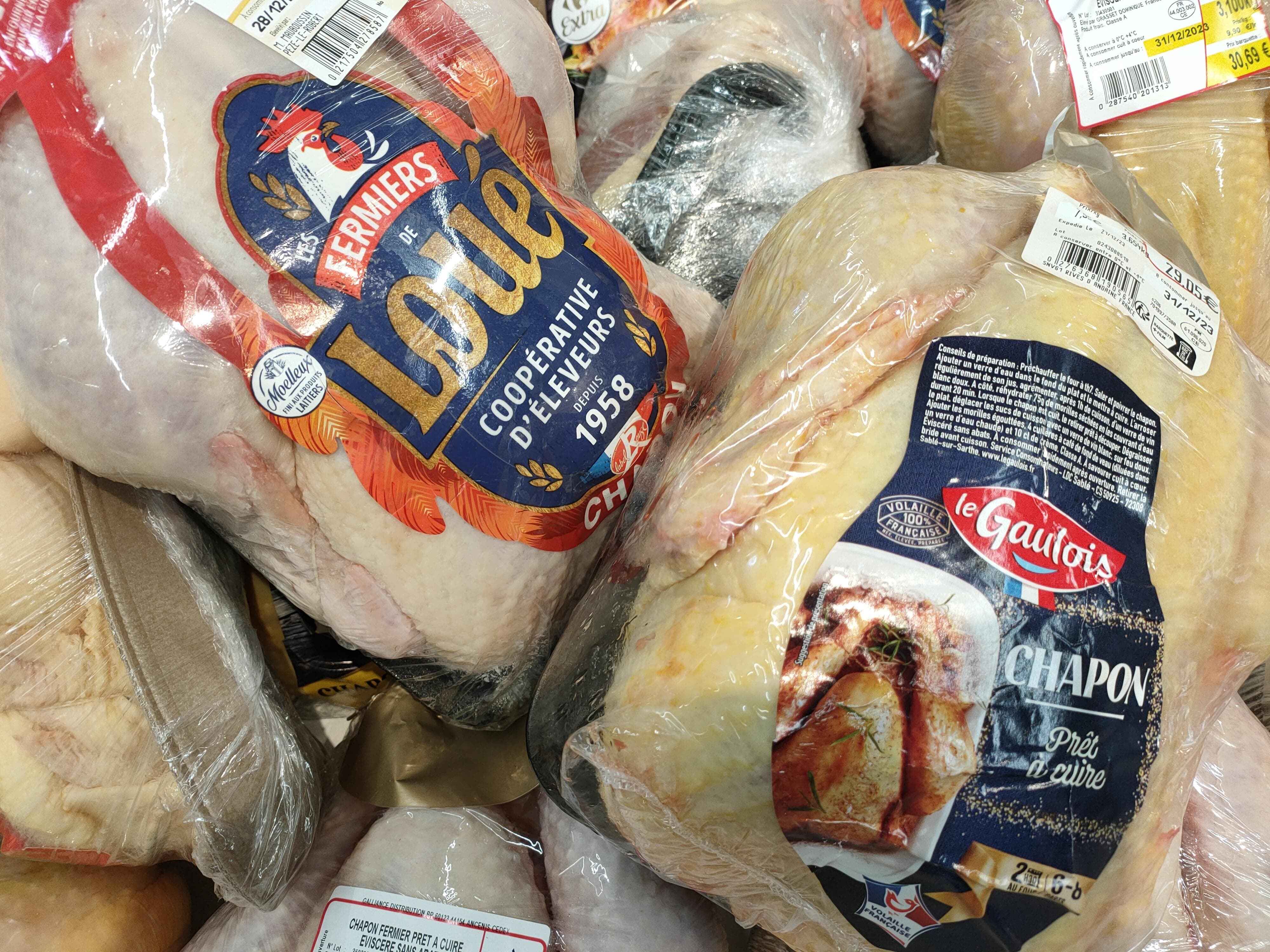 WV. シャポン.jpg