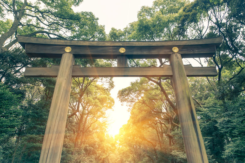 夏に初詣も!? 御朱印ブームだけじゃない神社界の新潮流 夏に初詣も!? 御朱印ブームだけじゃない神社界の新潮流