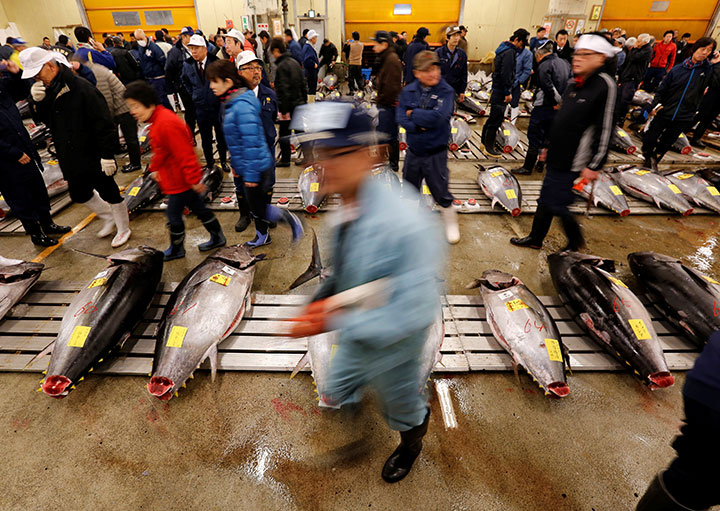 こうすれば築地・豊洲問題は一発で解決! こうすれば築地・豊洲問題は一発で解決!
