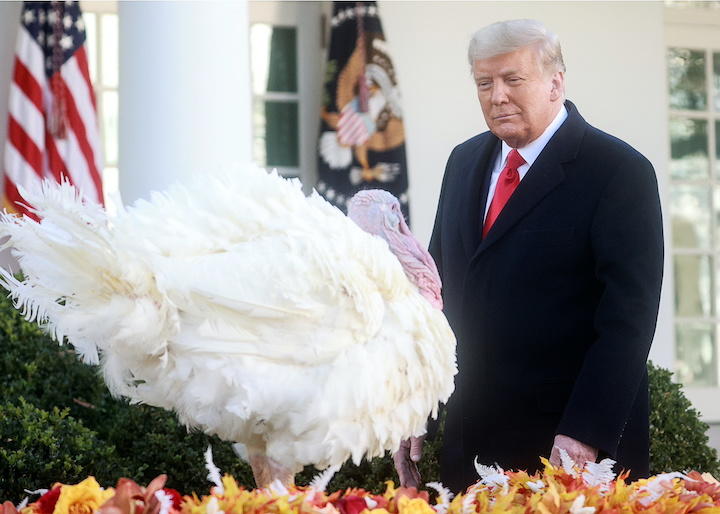 トランプとかけて『アナ雪』のエルサと解く、その心は? トランプとかけて『アナ雪』のエルサと解く、その心は?