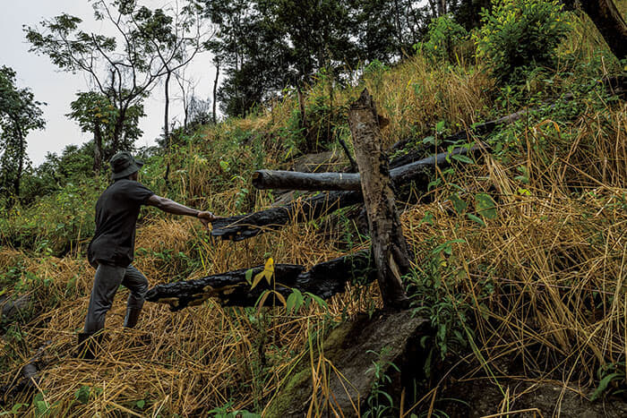 ウズングワ山脈南端で、原生林が農地開発のため何者かに焼き払われているのを発見した地元農家の男性。この地域は森林保護区域に当たるため、焼き畑は禁じられている