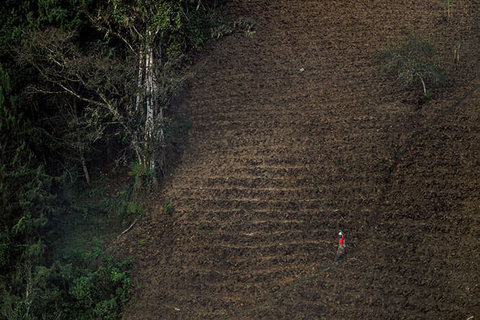 ウズングワの西側に位置するイリンガ州の村で、家のそばの山腹を通り畑仕事に向かう農業労働者。公園や自然保護区がある東側とは異なり、西側には農家が居住し、農業を営んでいる