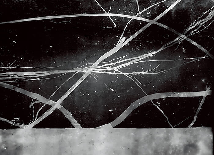 ロベルト・ワルカヤ（Roberto Huarcaya）<br />
＜シリーズタイトル＞  『アマゾグラマス』<br />
（Amazogramas）<br />
 ＜作品タイトル＞アマゾグラマ #1（ディテール）（2014年）<br />
▶アマゾン川水系の川床に横たわるヤシの木を、4度の稲妻の閃光で感光紙に焼き付けた。大自然と人間の共創が生んだ作品<br />
Credit: Courtesy Roberto Huarcaya abd Rolf Art, Buenos Aires