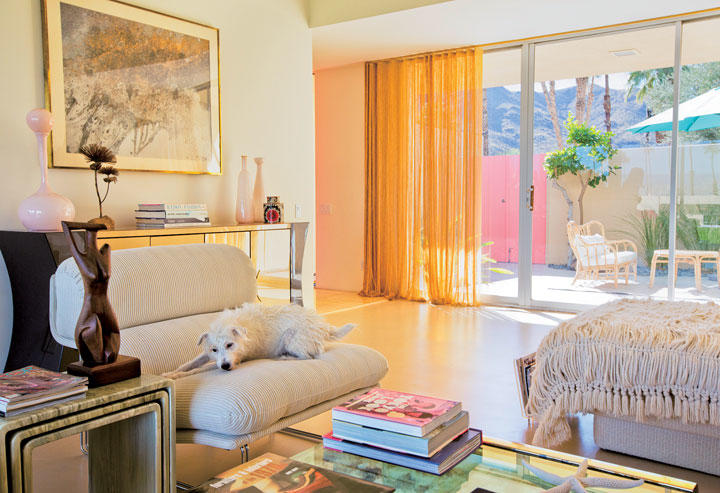 写真特集 光のあふれる美しい家と 愛すべき犬と Picture Power コラム ニューズウィーク日本版 オフィシャルサイト