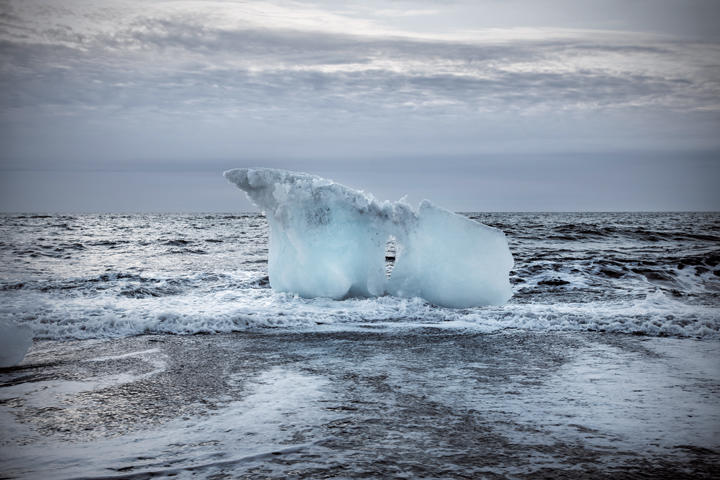 写真特集 北極に訪れた不可逆な未来 ニューズウィーク日本版 オフィシャルサイト