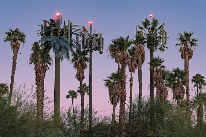 写真特集 擬態 する携帯アンテナの不自然な風景 ニューズウィーク日本版 オフィシャルサイト