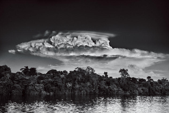 写真特集 アマゾンの最後の叫びに包まれて ニューズウィーク日本版 オフィシャルサイト