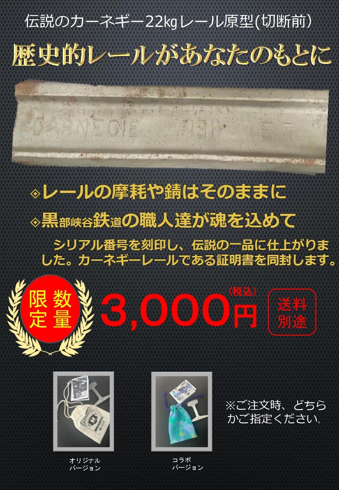 20-60代 人気ファッションブランド 数量限定！貴重な1911年製カーネギーレールをカットし、シリアル コレクション