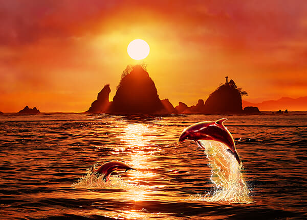 クリスチャンラッセン 海の風景 123/225 クリスチャンラッセン」のアイデア 7 件 | クリスチャンラッセン