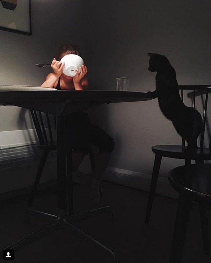 「かわいさを飛び越えた」犬や猫の写真に込められた意味 「かわいさを飛び越えた」犬や猫の写真に込められた意味