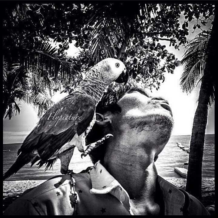 動物が重要な役割を担う フランス人写真家を魅惑した東南アジアの日常 ニューズウィーク日本版 オフィシャルサイト 動物が重要な役割を担う フランス人写真家を魅惑した東南アジアの日常 ニューズウィーク日本版 オフィシャルサイト