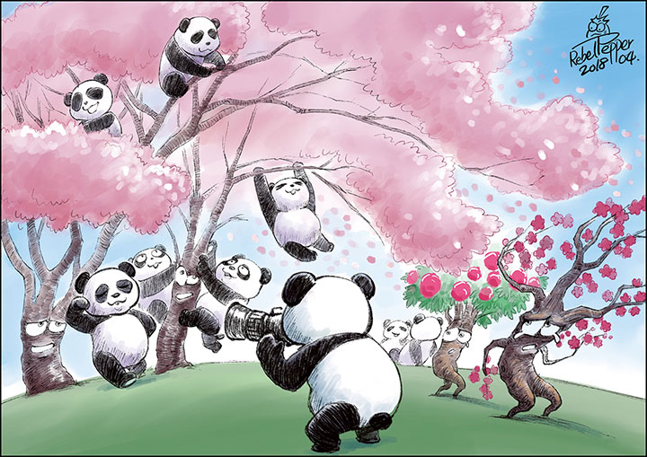 中国の花見も梅・牡丹より今は桜 中国の花見も梅・牡丹より今は桜
