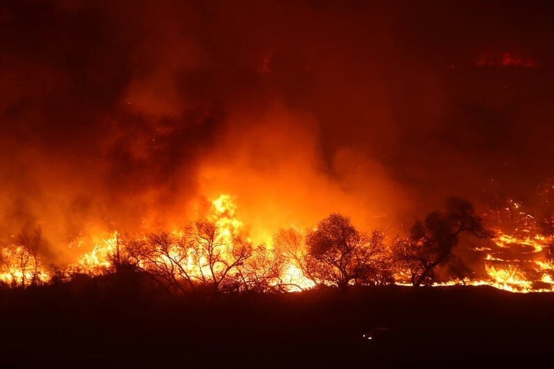 米カリフォルニア州の山火事 数十万人が避難 史上3番目の規模に ワールド 最新記事 ニューズウィーク日本版 オフィシャルサイト