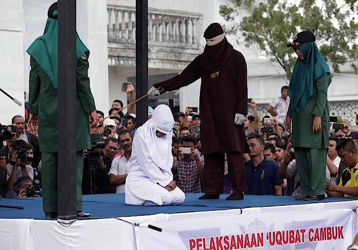 https www newsweekjapan jp stories world 2019 02 post 11632 php