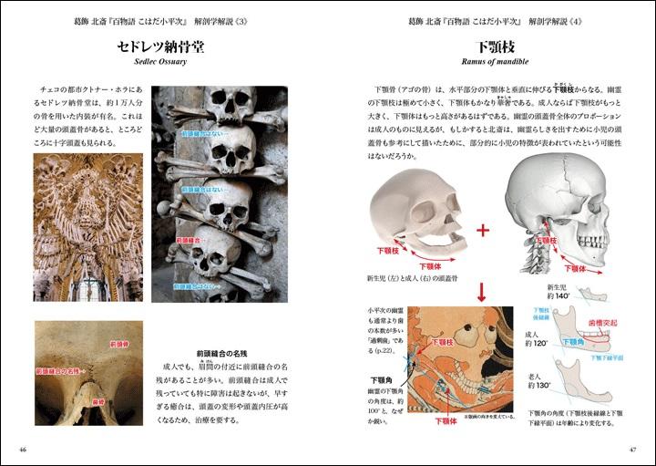 北斎は幽霊っぽさを出すために子供の頭蓋骨を使った 名画の謎を解く ニューズウィーク日本版 オフィシャルサイト